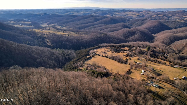 TBD Honaker Chapel Rd, Castlewood VA, 24224 land for sale