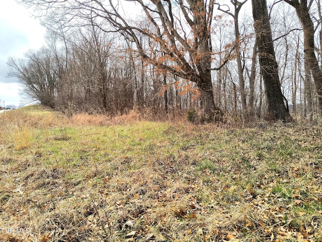 LOT44 Chimney Top Ln, Chuckey TN, 37641 land for sale