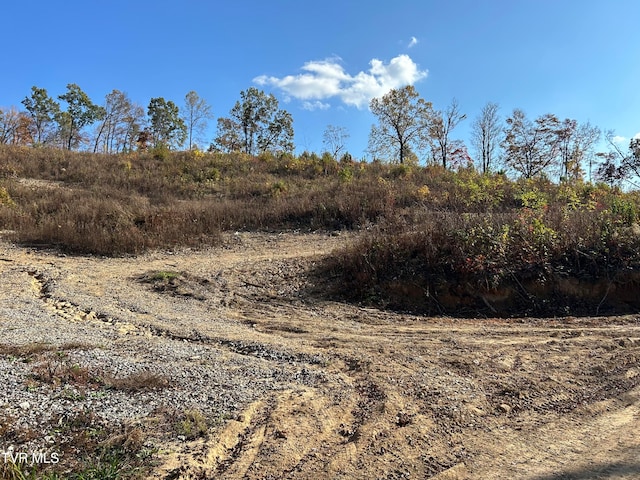 TBD Elmer Montgomery Rd, Rose Hill VA, 24281 land for sale