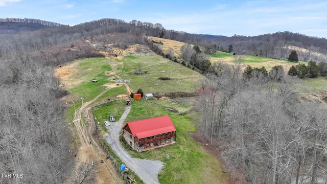 bird's eye view featuring a mountain view and a rural view