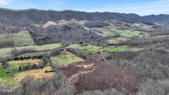 property view of mountains with a rural view