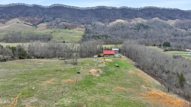 aerial view featuring a mountain view and a rural view