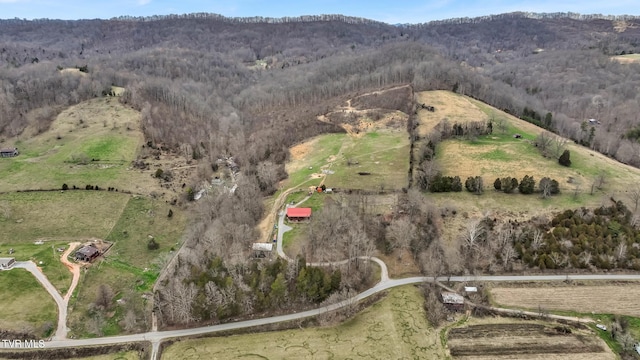 aerial view with a mountain view and a rural view