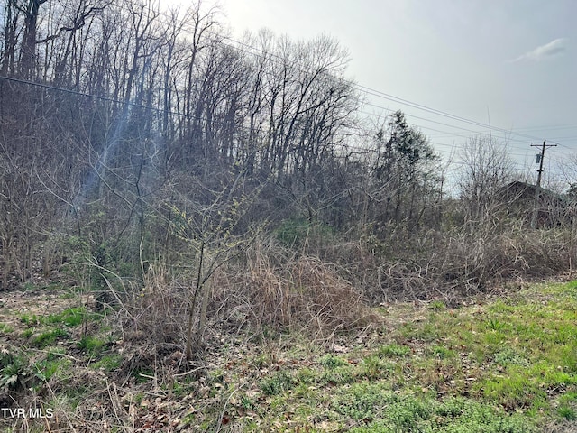 Listing photo 3 for 00 Old Knoxville Hwy, Greeneville TN 37743