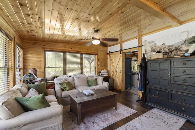 570 Stephen Brooks Rd, Greeneville, TN 37743 - living room featuring a barn door, wooden walls, wood ceiling, dark wood-type flooring, and ceiling fan