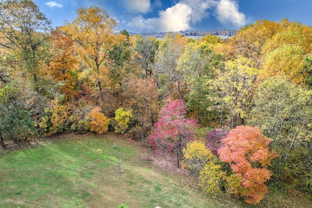 570 Stephen Brooks Rd, Greeneville, TN 37743 - view of green lawn featuring a wooded view