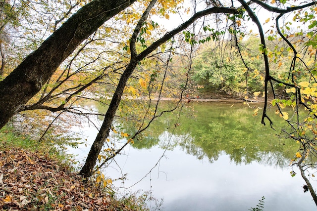 570 Stephen Brooks Rd, Greeneville, TN 37743 - water view with a forest