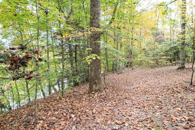 570 Stephen Brooks Rd, Greeneville, TN 37743 - view of tree filled area