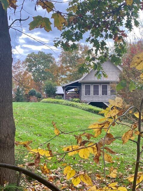 570 Stephen Brooks Rd, Greeneville, TN 37743 - view of green lawn