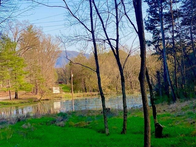 570 Stephen Brooks Rd, Greeneville, TN 37743 - water view