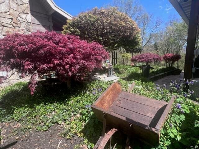 570 Stephen Brooks Rd, Greeneville, TN 37743 - view of yard