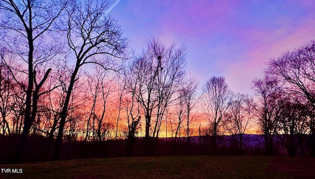 570 Stephen Brooks Rd, Greeneville, TN 37743 - view of yard at dusk