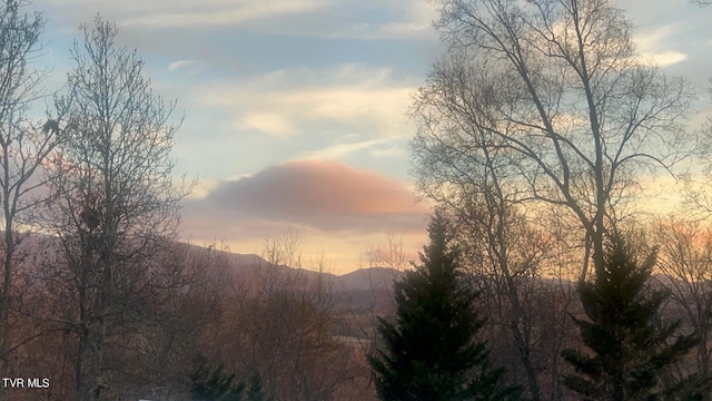 570 Stephen Brooks Rd, Greeneville, TN 37743 - view of mountain backdrop