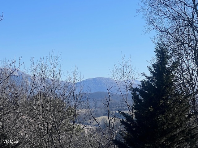 570 Stephen Brooks Rd, Greeneville, TN 37743 - view of mountain backdrop