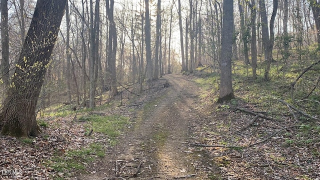 570 Stephen Brooks Rd, Greeneville, TN 37743 - view of tree filled area