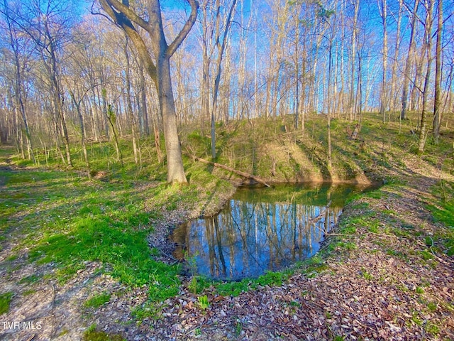 570 Stephen Brooks Rd, Greeneville, TN 37743 - water view