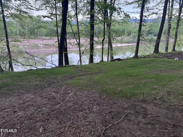 570 Stephen Brooks Rd, Greeneville, TN 37743 - water view