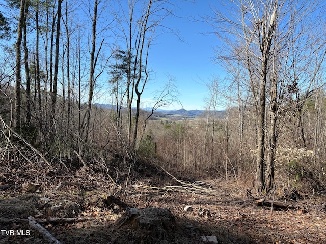 Listing photo 3 for 000 Rhea Ln, Mountain City TN 37683