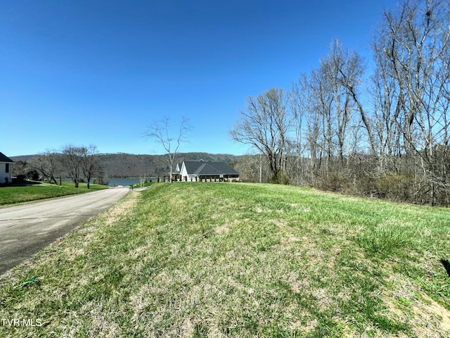 LOT8 Deer Ridge Ct, Butler TN, 37640 land for sale