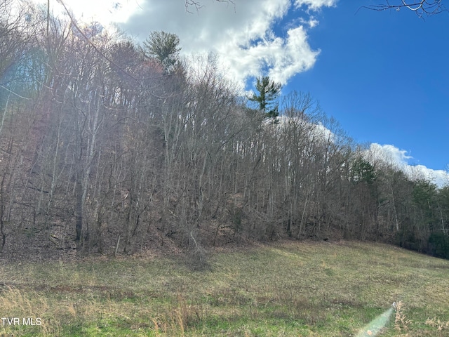 166 Holston Mountain Rd, Elizabethton, TN 37643