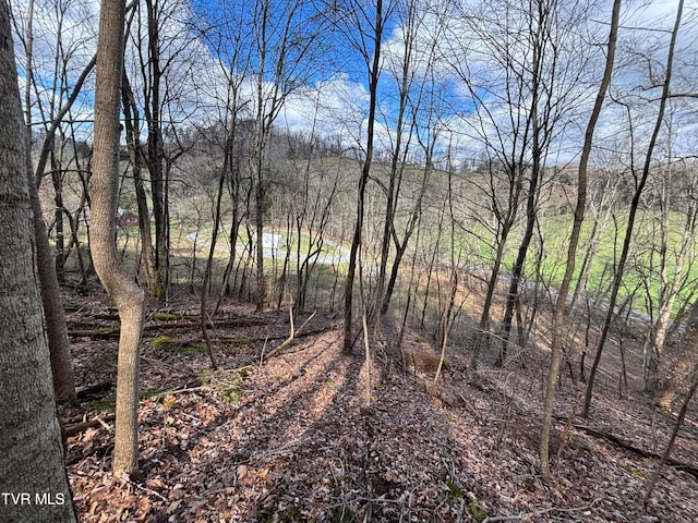 166 Holston Mountain Rd, Elizabethton, TN 37643