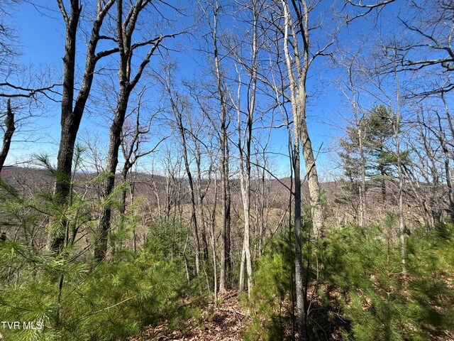 166 Holston Mountain Rd, Elizabethton, TN 37643
