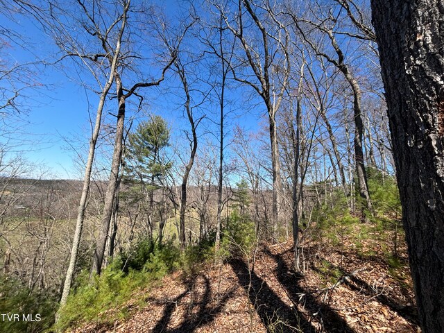 166 Holston Mountain Rd, Elizabethton, TN 37643