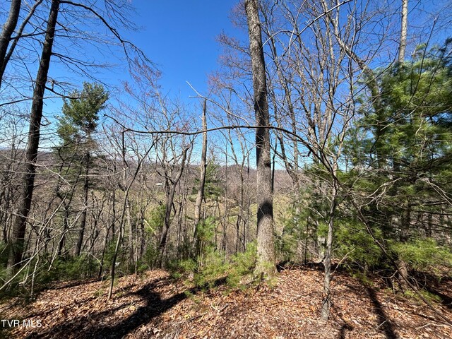 166 Holston Mountain Rd, Elizabethton, TN 37643