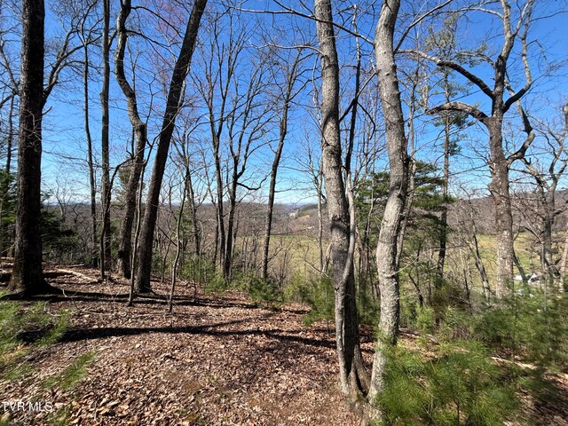 166 Holston Mountain Rd, Elizabethton, TN 37643