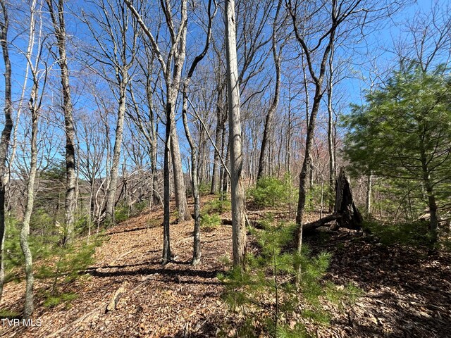 166 Holston Mountain Rd, Elizabethton, TN 37643