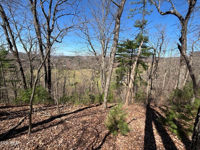166 Holston Mountain Rd, Elizabethton, TN 37643
