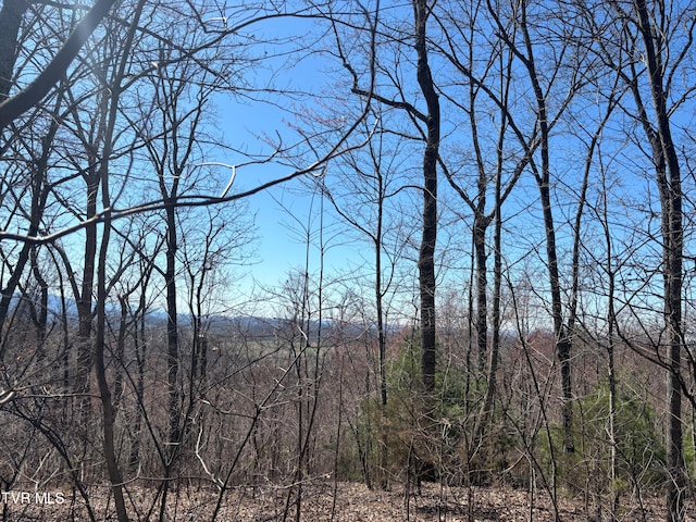 166 Holston Mountain Rd, Elizabethton, TN 37643