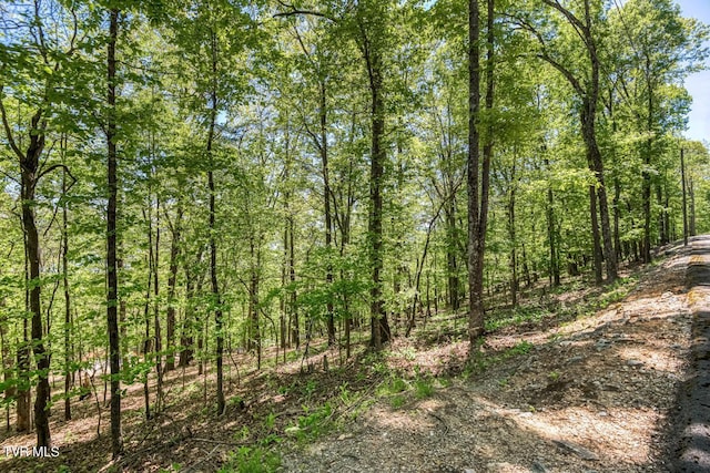 1184 Keetoowah Dr, Mooresburg TN, 37811 land for sale