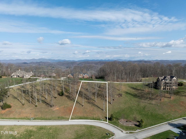 1230 Ridgetop Trl, Kingsport TN, 37664 land for sale