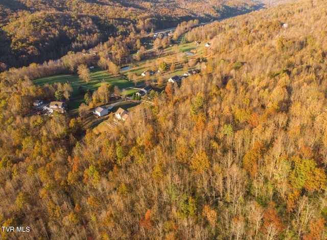 Listing photo 3 for TBD Persimmon Rd, Big Stone Gap VA 24219