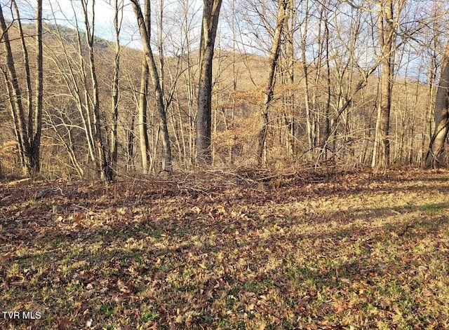 TBD Persimmon Rd, Big Stone Gap, VA 24219 - photo 5