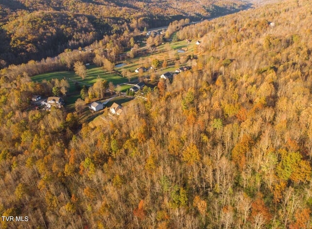 TBD Persimmon Rd, Big Stone Gap, VA 24219 - photo 6