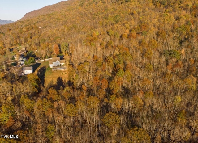 TBD Persimmon Rd, Big Stone Gap, VA 24219 - photo 7