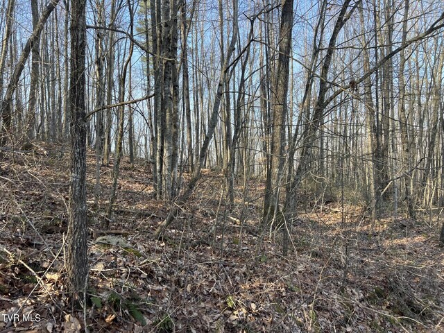 TBD Persimmon Rd, Big Stone Gap, VA 24219 - photo 8