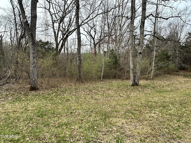 Listing photo 3 for TBD Cassells Chapel Rd, Dungannon VA 24245