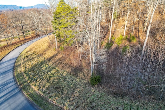 Listing photo 3 for 865 Chimney Top Ln, Chuckey TN 37641