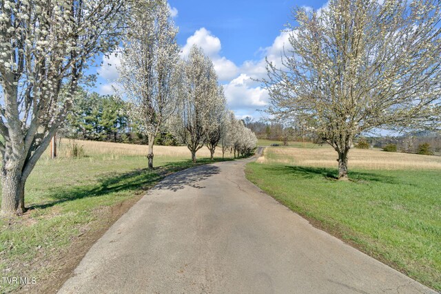 545 Mcmillian Rd, Midway, TN 37809 - view of street