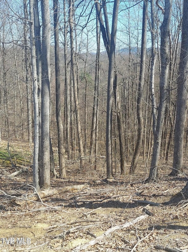 LOT76 Golf Course Rd, Unicoi TN, 37692 land for sale