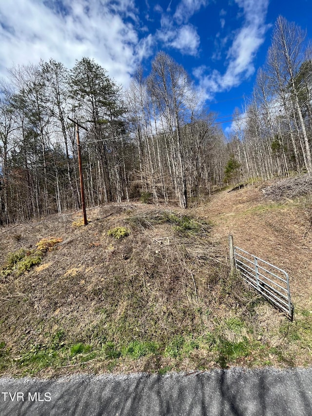 Listing photo 3 for 00 Early Branch Rd, Rogersville TN 37857