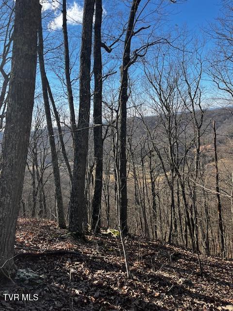 00 Early Branch Rd, Rogersville, TN 37857 - photo 12