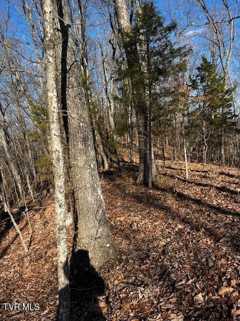 00 Early Branch Rd, Rogersville, TN 37857 - photo 13