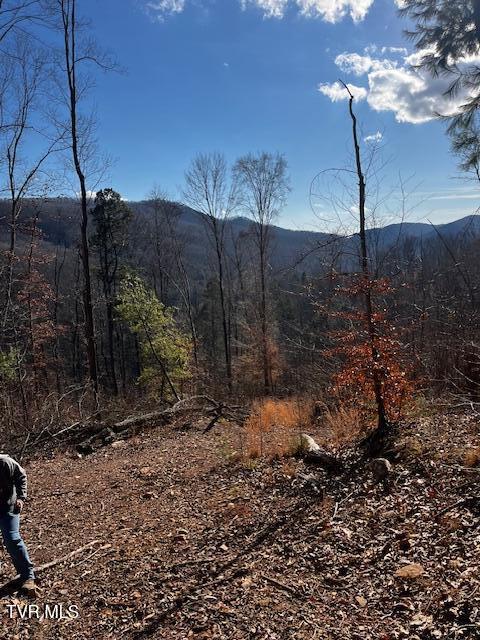 00 Early Branch Rd, Rogersville, TN 37857 - photo 14