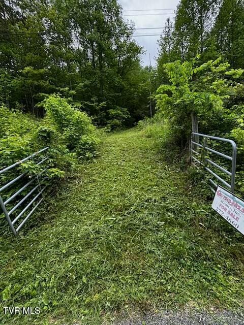 00 Early Branch Rd, Rogersville, TN 37857 - photo 1
