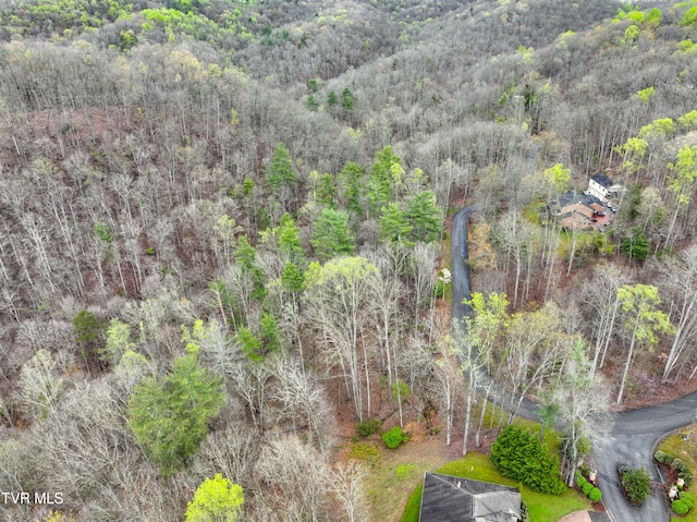 Listing photo 2 for TBD Skyline Dr, Bristol TN 37620