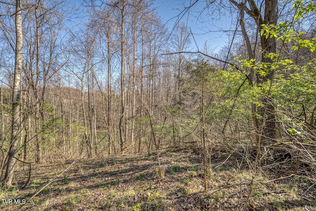 TBD Cannon Hill Dr, Elizabethton, TN 37643